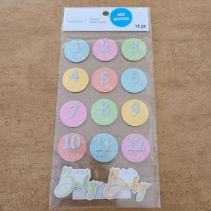 🆕️Recollections Baby Month Stickers